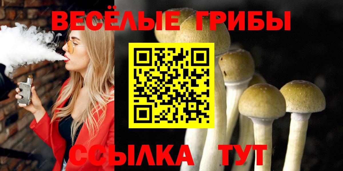 МЕФ Малоярославец